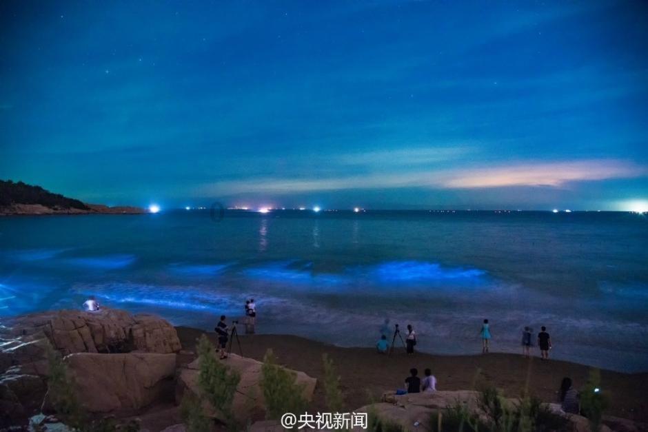 文旅“商战”打到了直播间！ “尔滨”和兄弟城市喊话南方网友