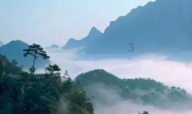 枪血黑手党