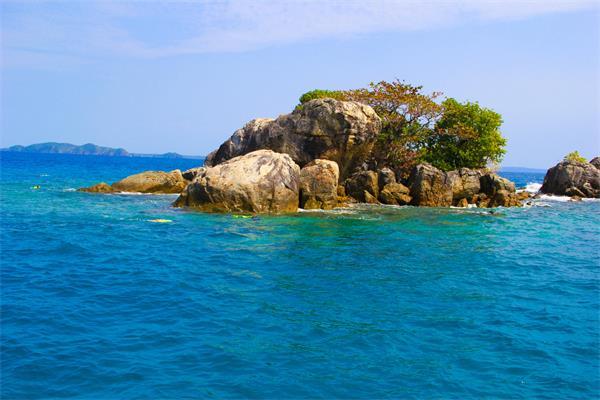 房地产ETF华夏和房地产ETF半日涨幅2.5%，重获资金关注