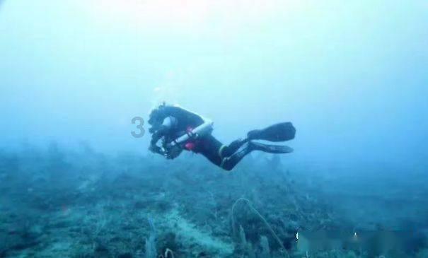 昆明海关支持壮大园区经济，助力外贸量质提升