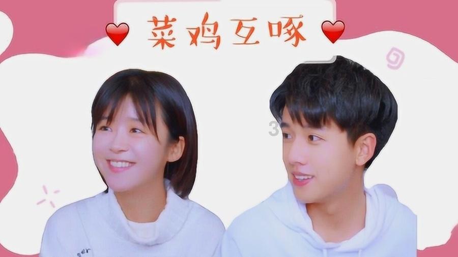 救援小棕兔